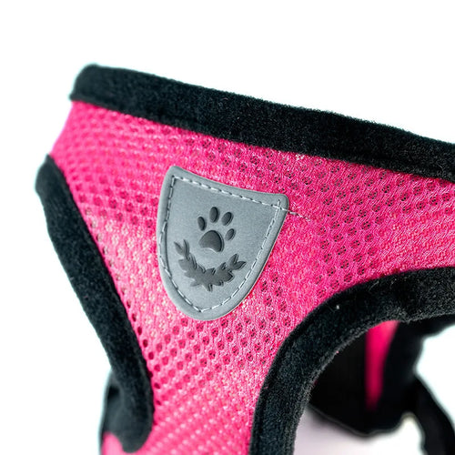 Breathable Mesh Dog & Cat Harness Set: Explosion-Proof Chest Strap & Leash