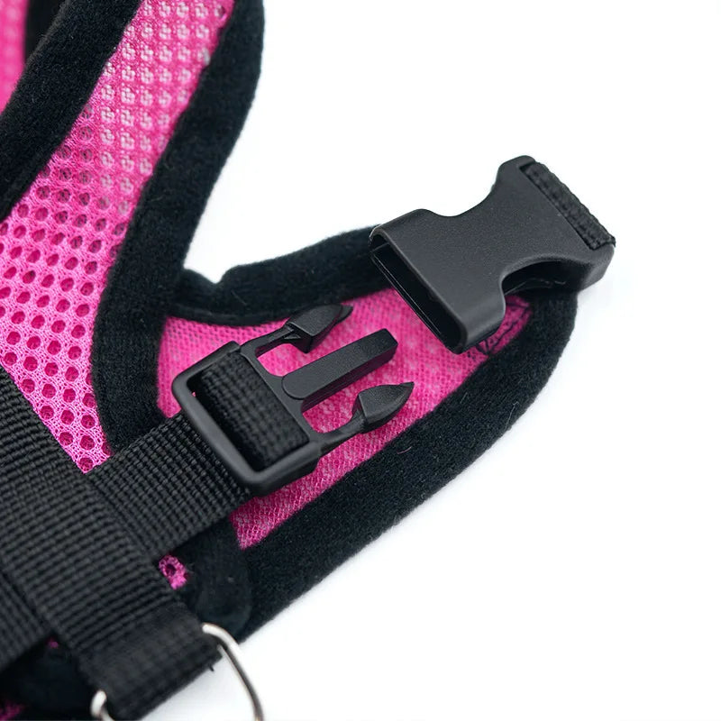 Breathable Mesh Dog & Cat Harness Set: Explosion-Proof Chest Strap & Leash