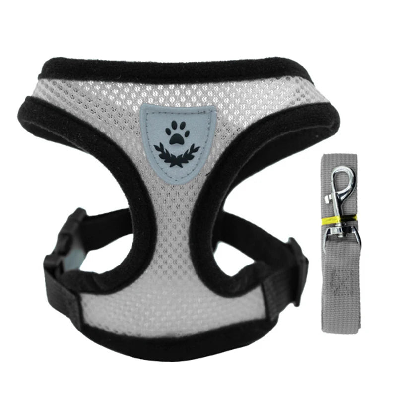 Breathable Mesh Dog & Cat Harness Set: Explosion-Proof Chest Strap & Leash