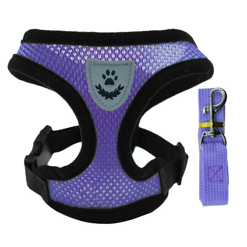 Breathable Mesh Dog & Cat Harness Set: Explosion-Proof Chest Strap & Leash