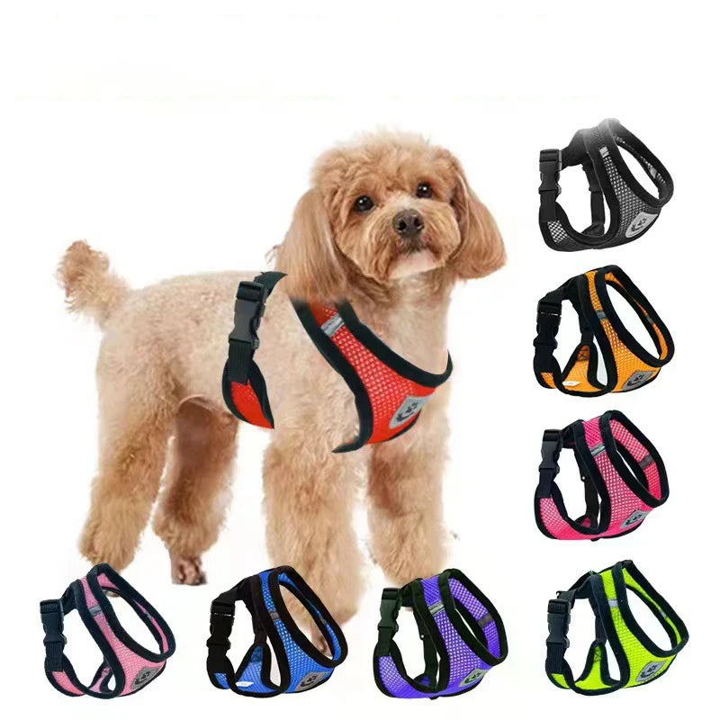 Breathable Mesh Dog & Cat Harness Set: Explosion-Proof Chest Strap & Leash