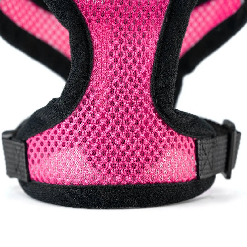 Breathable Mesh Dog & Cat Harness Set: Explosion-Proof Chest Strap & Leash